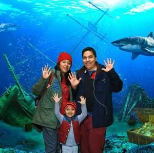 Meet your Posher, Liset